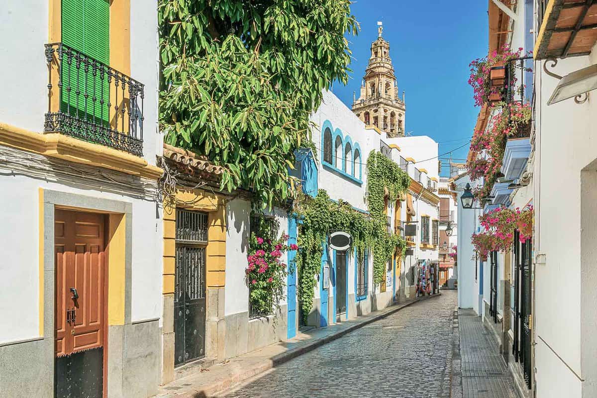 A pretty narrow street in old town with colourful pastel shaded buildings and alot of plants and flowers growing on them
