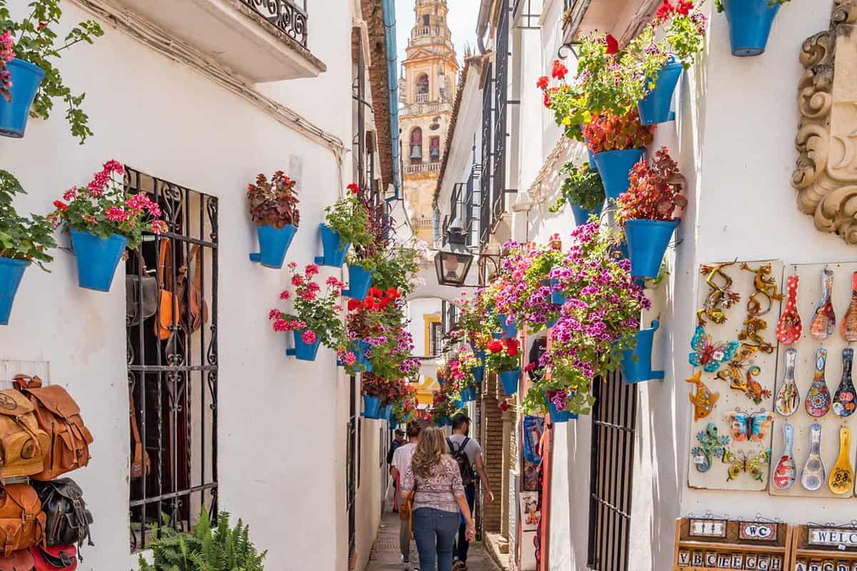 A narrow street between white buildings covered in flower pots filled with geraniums