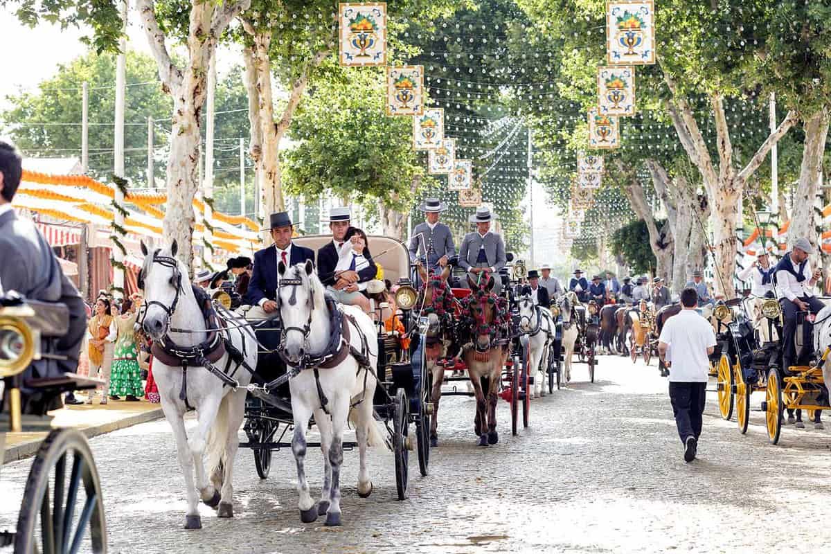 Many horse drawn carriages trot down a central pathway