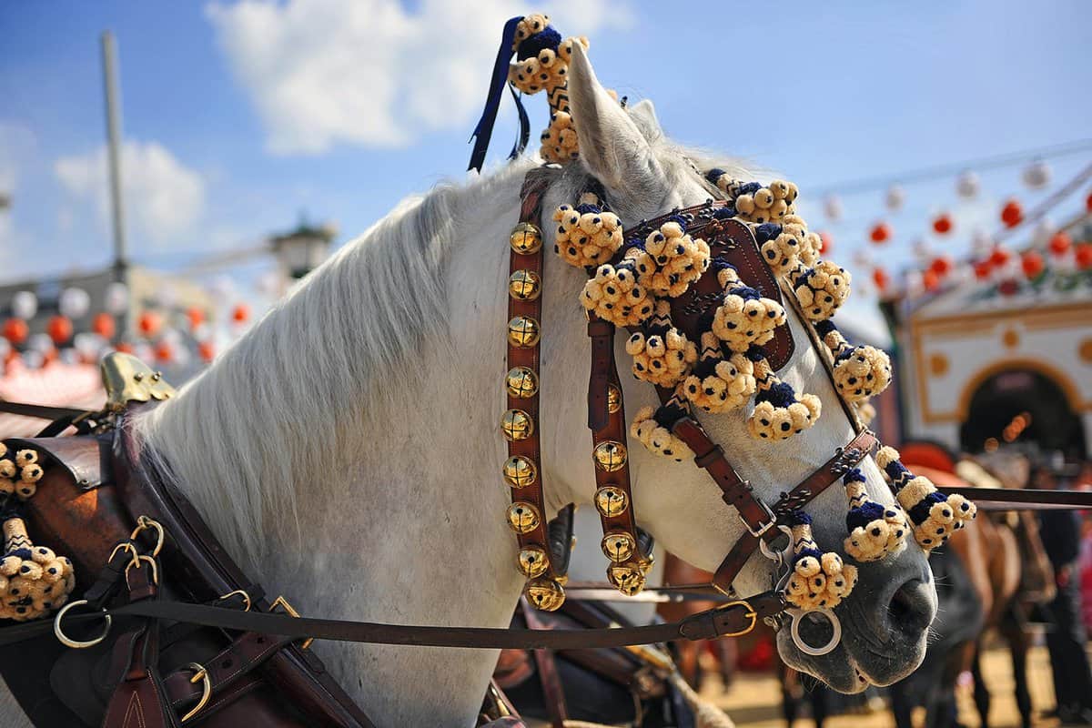 Close up of flower garlands over a horse's bridle