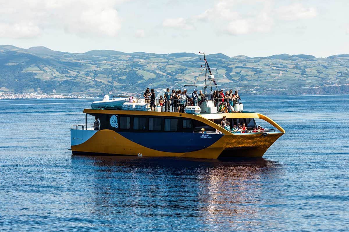 Tourists on a whale watching boat