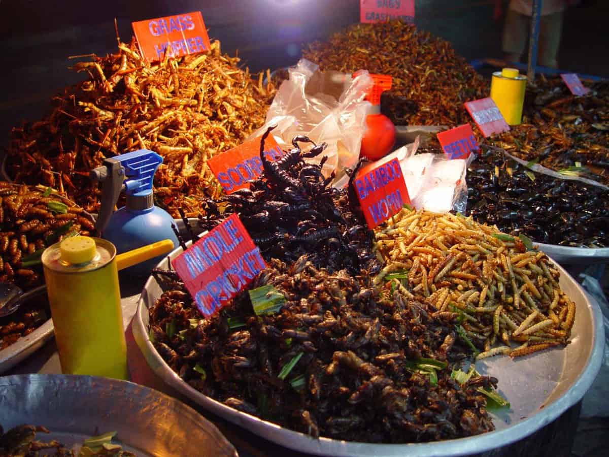 Street food snacks on sale at night