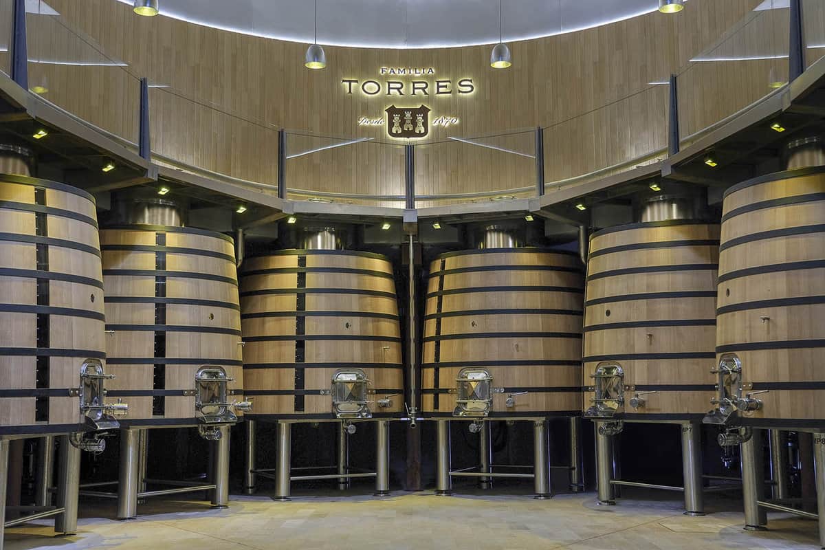Large wine vats with tasting taps
