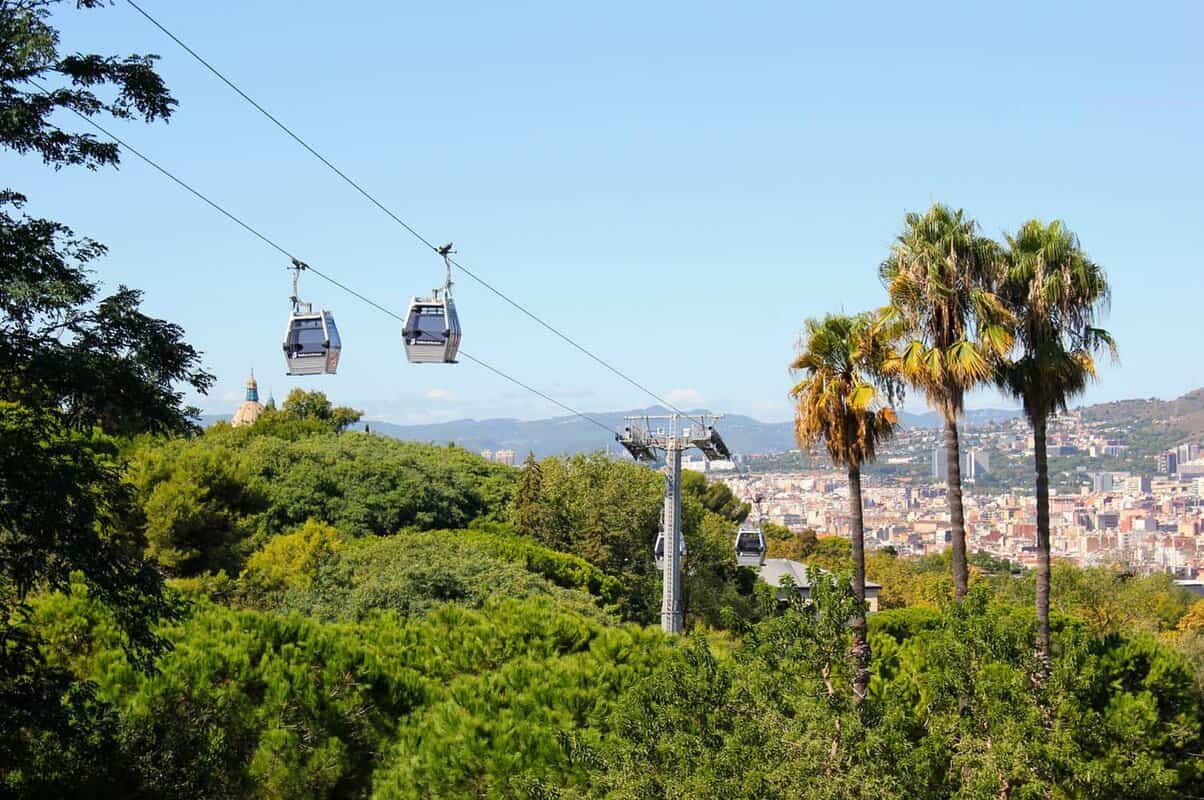 View of cable cars going through trees with city in background