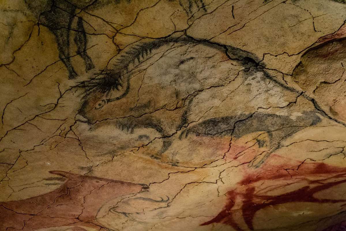 Close up of a prehistoric painting of a buffalo on a rock wall