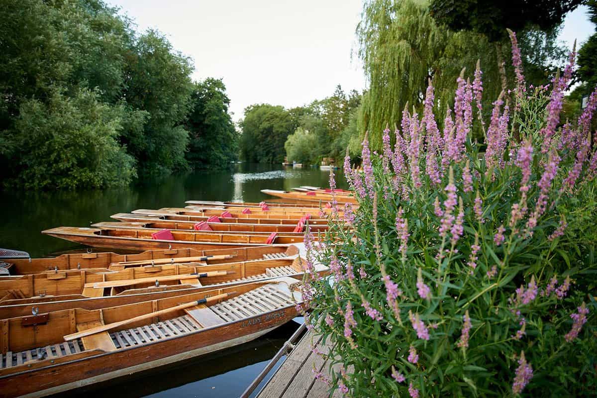 Empty punts lined up on the water's edge