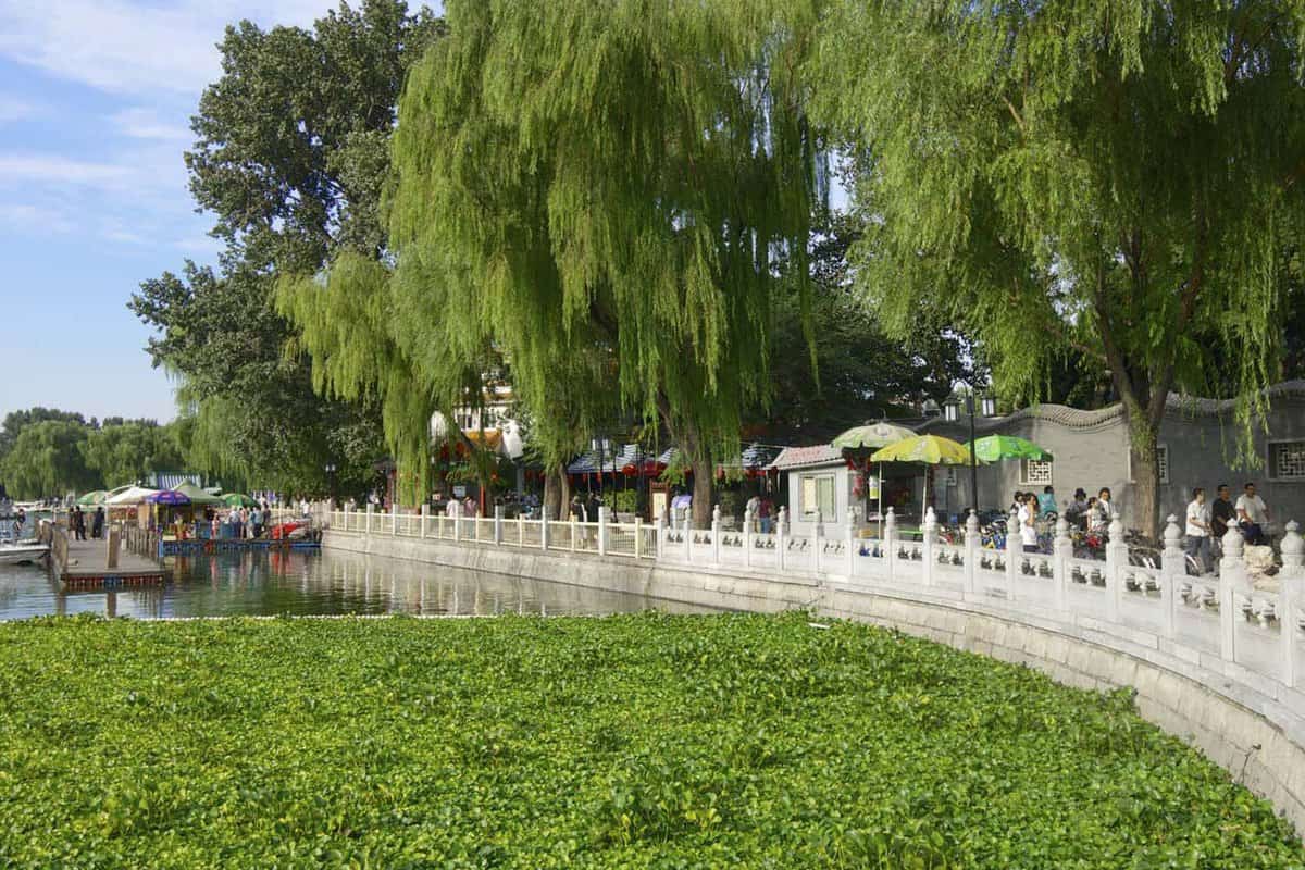 boardwalk alongside Houhai Lakes