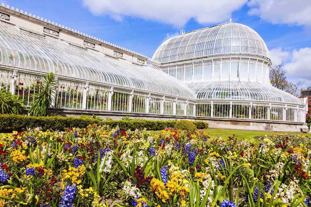 A row of flowers in front of a magnificent large white Victorian greenhouse