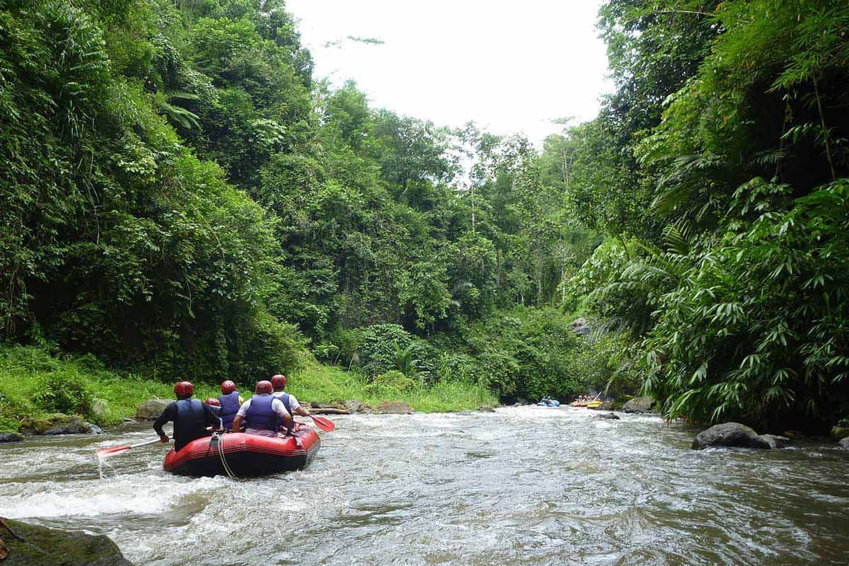 Small raft travelling down a river in the rainforest