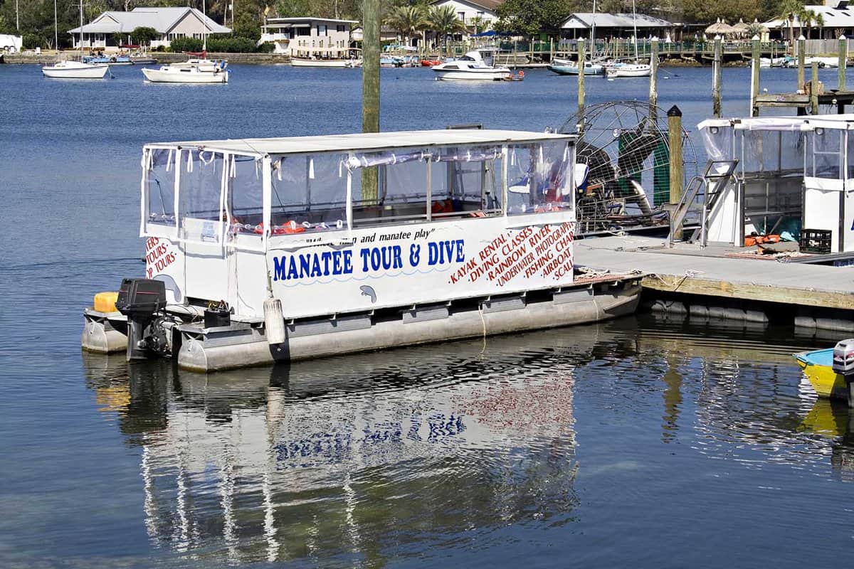 Tour boat at dock, ready to take tourists to see and snorkel with the manatees