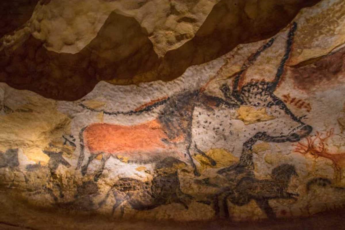 Close up of a bison painted on the cave walls