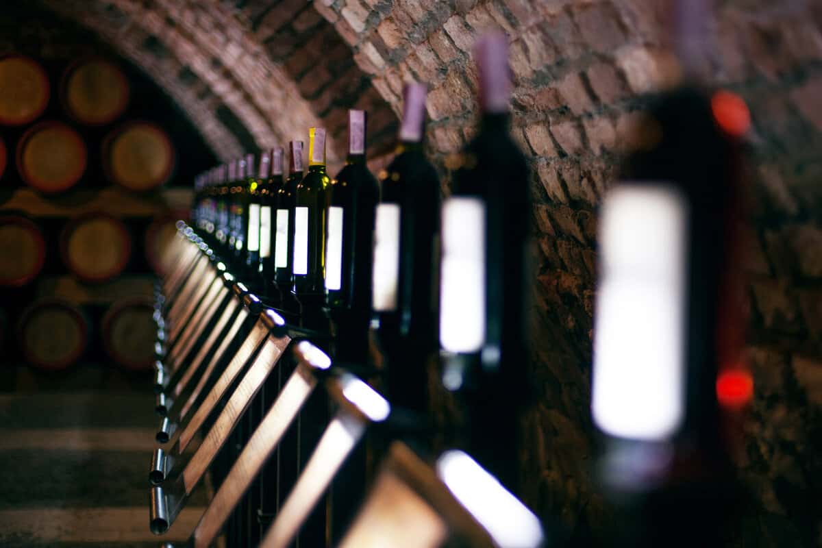 Bottles of wine lined up in a wine cellar