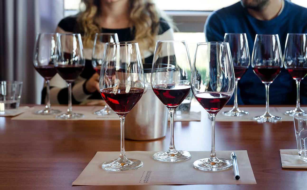 People sit at a table with glasses of wine ready for tasting in front of them