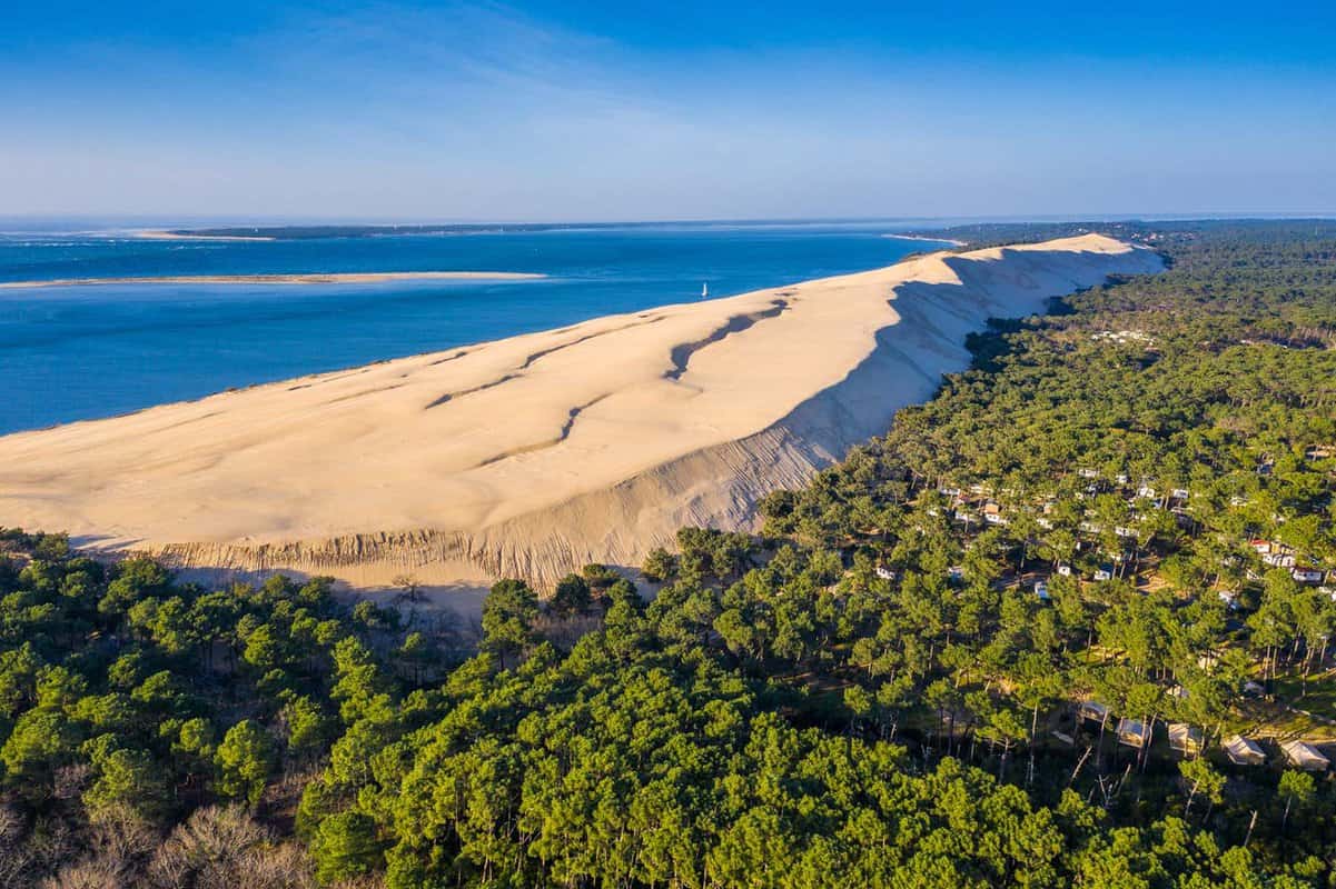 aerial of the dune with sea behind and forest in front