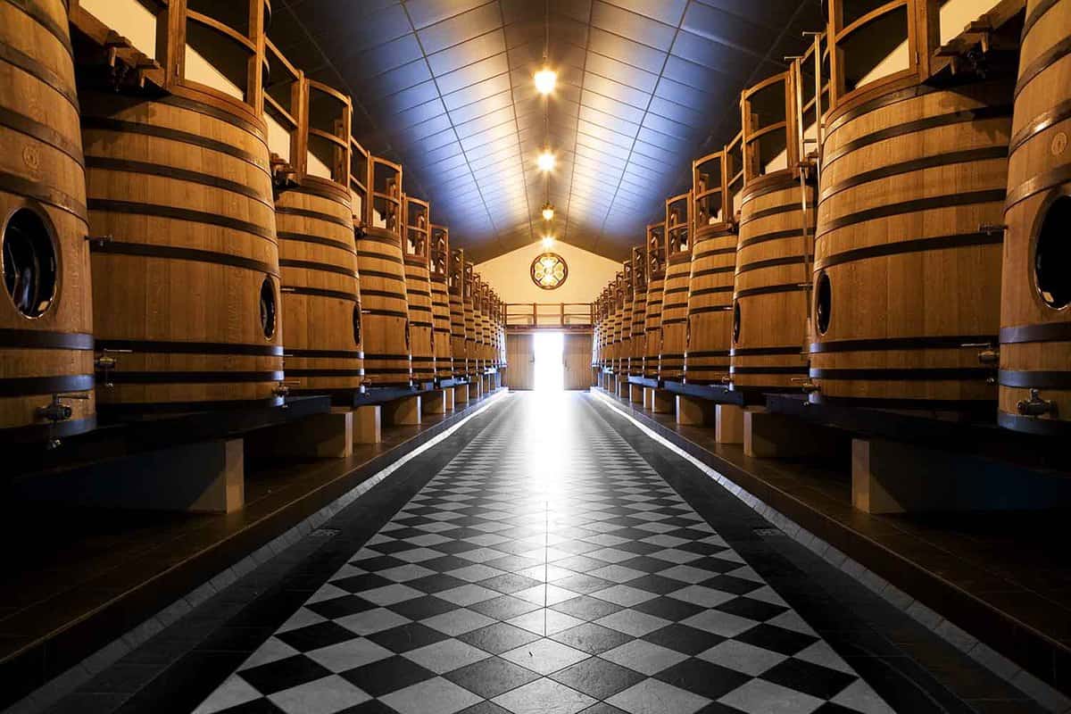 Rows of wooden casks full of wine