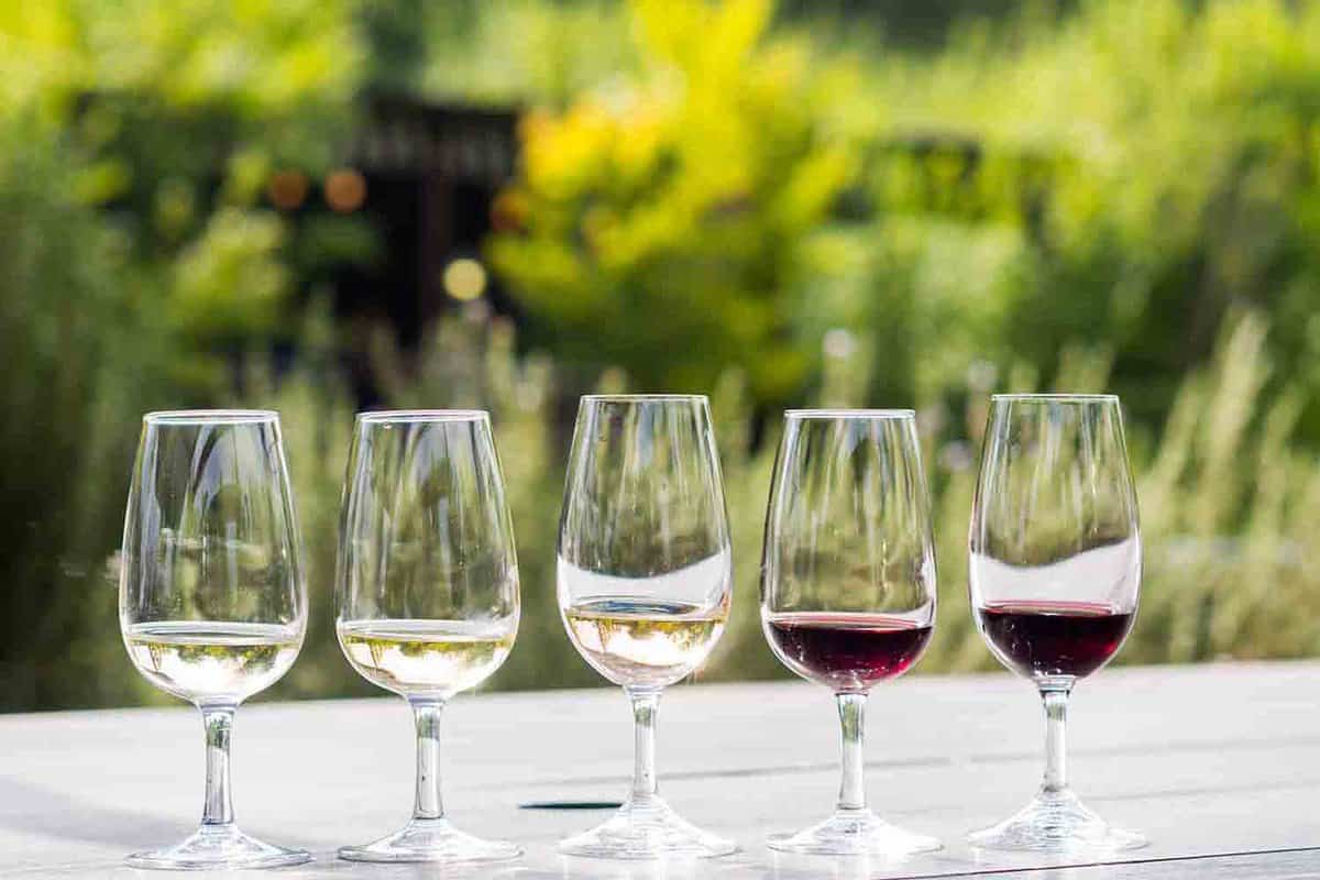 A row of filled wine glasses on a table on a sunny day