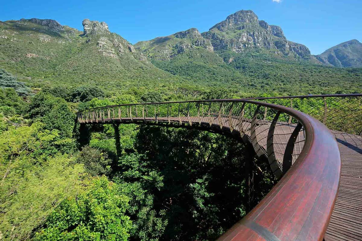 Elevated walkway in the Kirstenbosch botanical gardens, Cape Town, South Africa