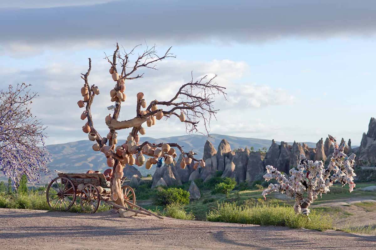 A leafless tree with a town in the background.