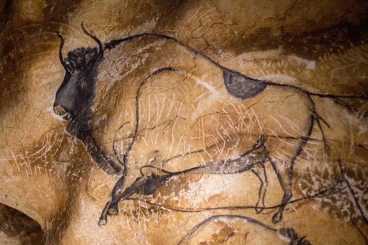 Close up of a bison painted on the cave wall
