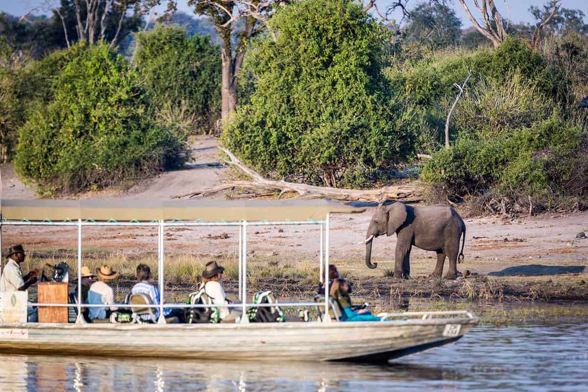 Tourist observe elephants in the edge of Chobe National Park, Botswana, Africa