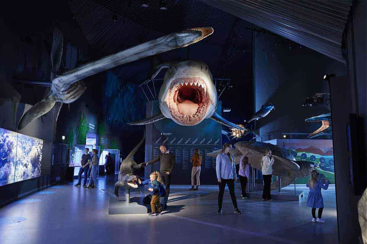 entrance hall with giant shark at National Aquarium Denmark