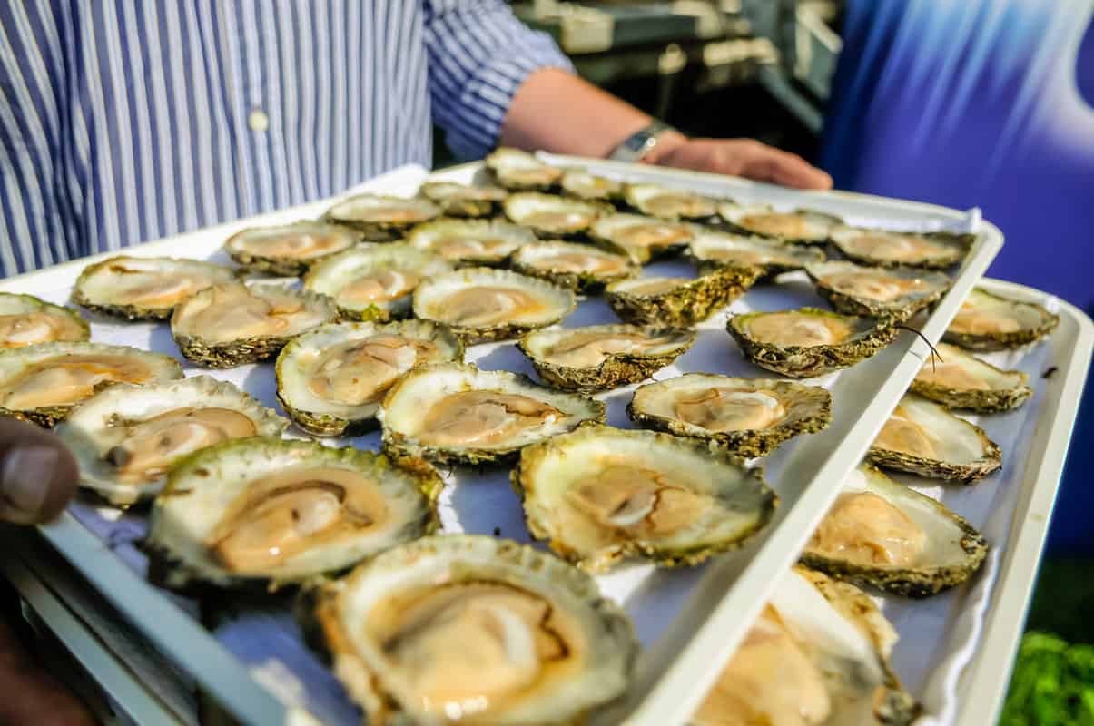 Falmouth Oyster Festival Best things to do in Cornwall