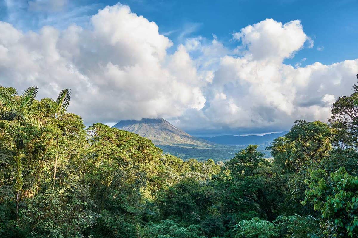 a view from behind greenery with the volcano in the distance