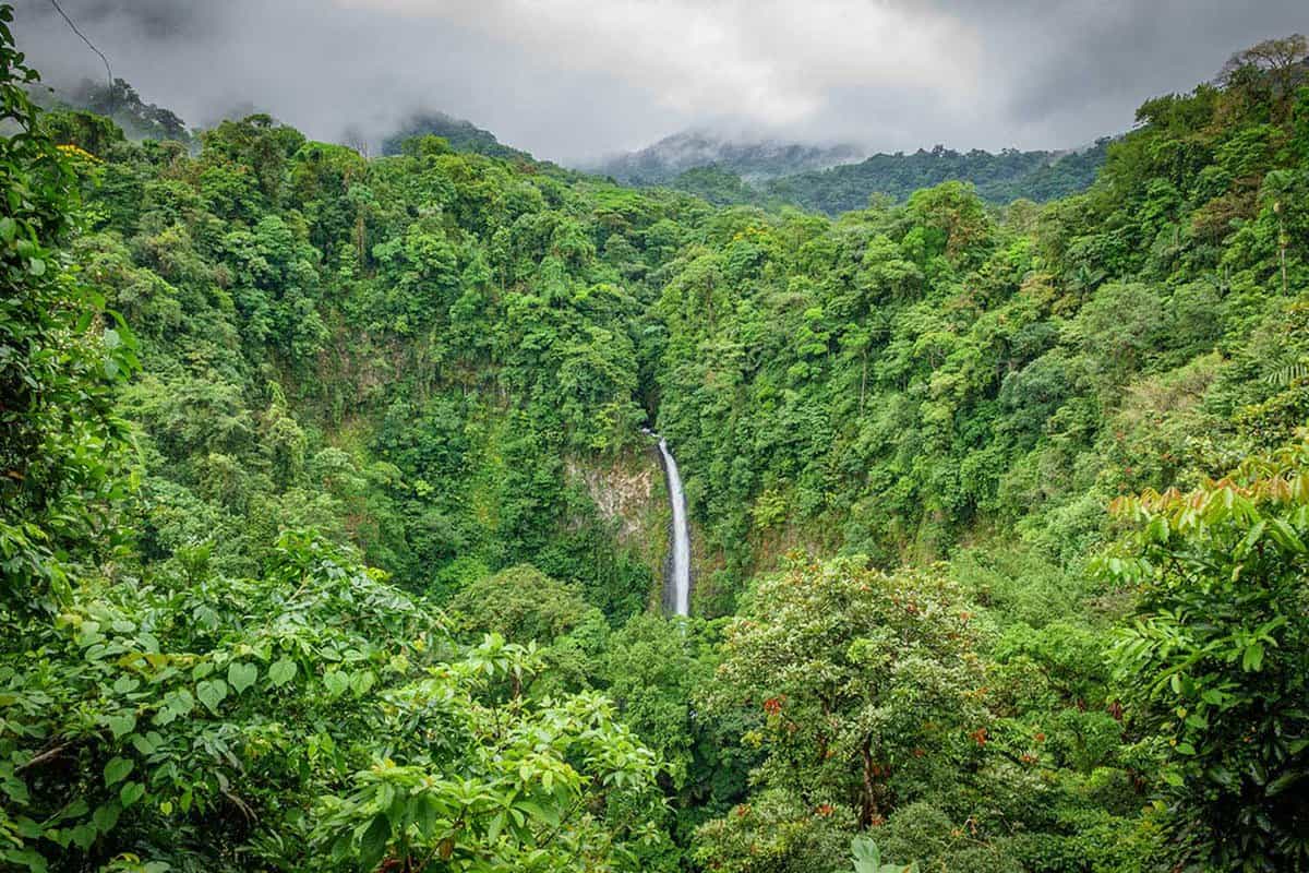 a waterfall and leafy greenery surrounding the volcano area