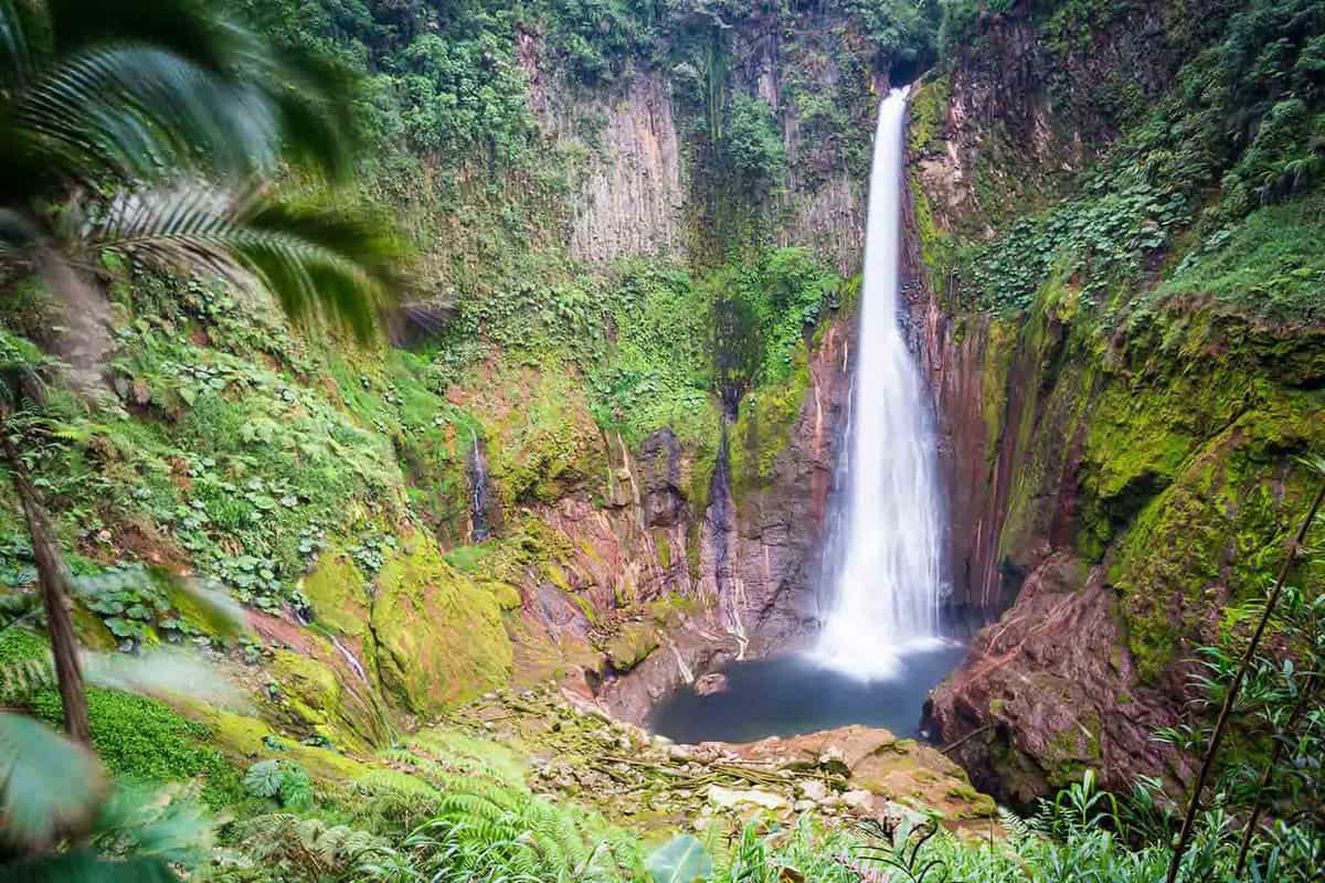 Del Toro Waterfall