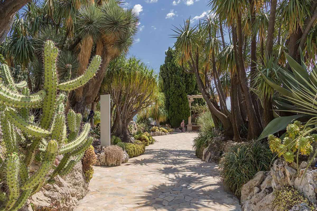 Path through a garden with giant plants and cacti on each side