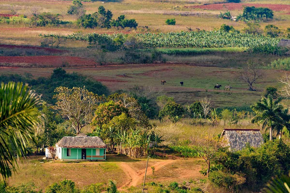 Cuban tobacco region, tropical sunny farmland area at sunset. Panoramic view over beautiful hills, hilly landscape with mogotes in Vinales Valley where the best tobacco leaves for cigars are produced
