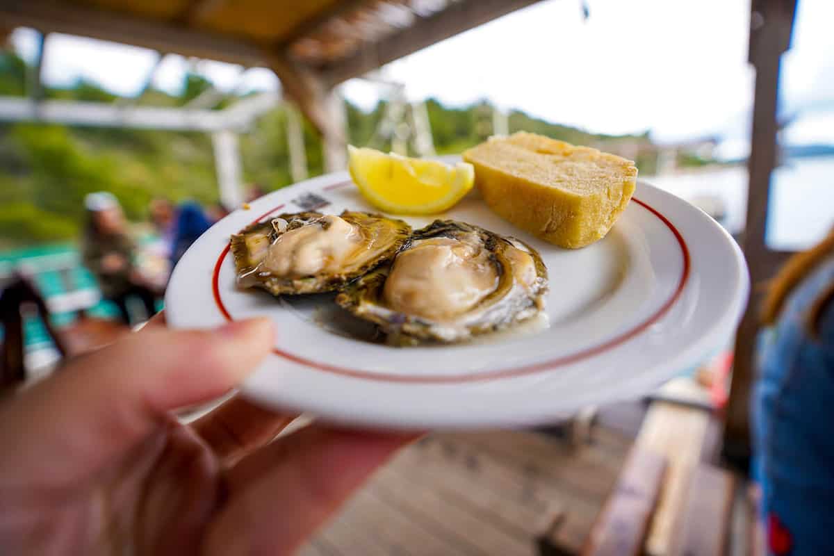 Fresh oyster in plate of bread and lemon on the Raft at Mali Ston