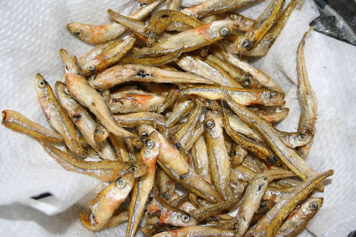plate of small fried fish a specialty in the Dalmatian Islands