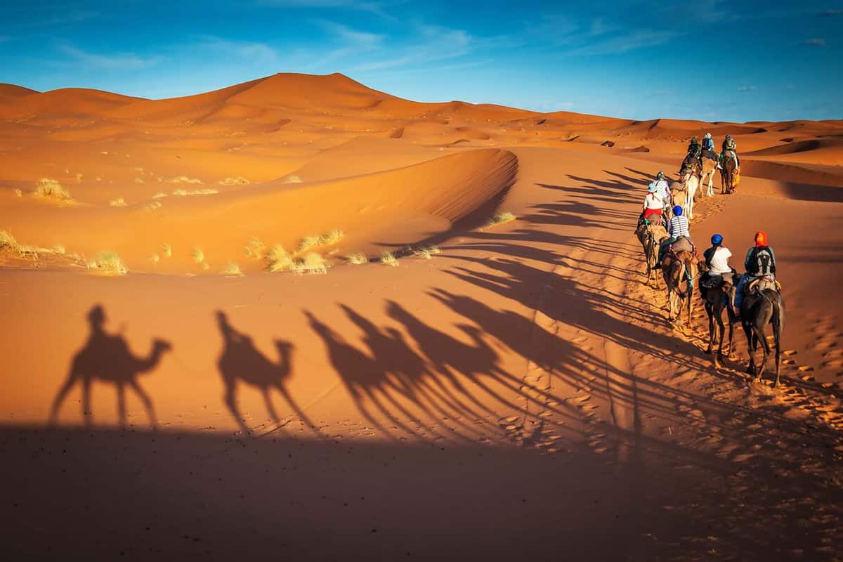 tourists riding camels in the Dubai desert
