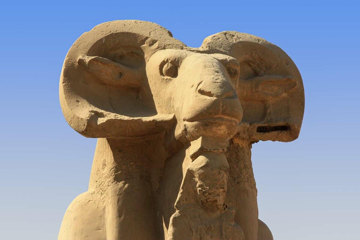 A close up of an ancient Egyptian ram statue in Luxor in Egypt near the Karnak temple. This figure stands alone, others in a row. In the background the blue sky.