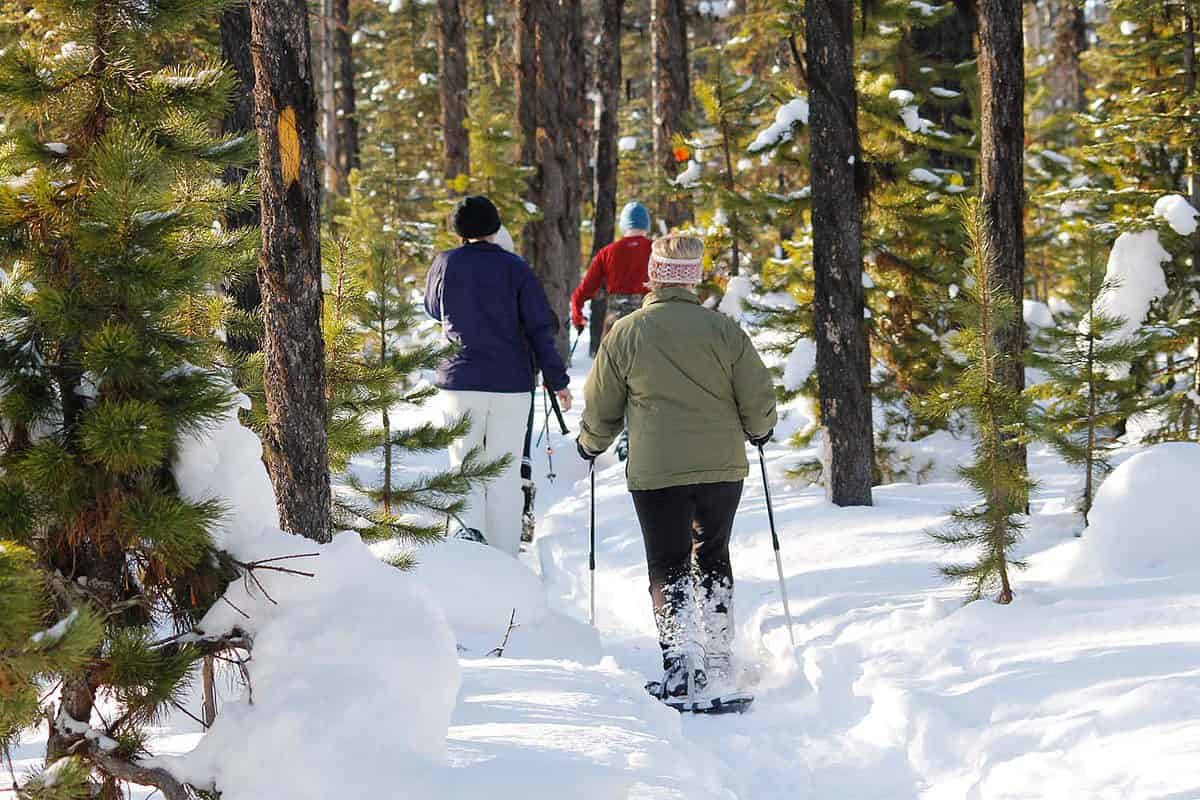 tourists snow shoeing through a snowy forest in Finnish Lapland