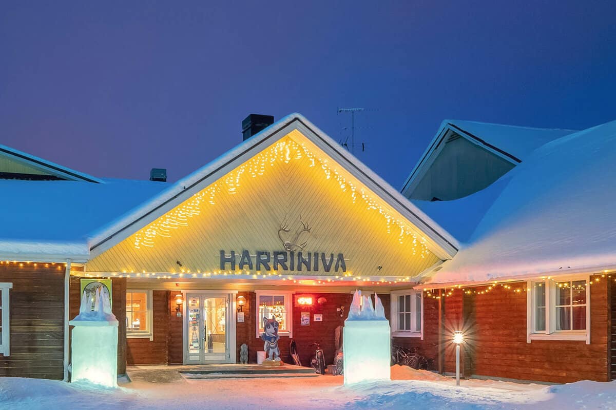 Go husky dog sledding at Harravinia