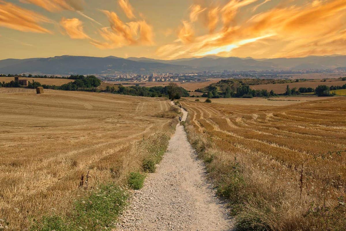 The Camino de Santiago during sunrise in Navarra, Spain
