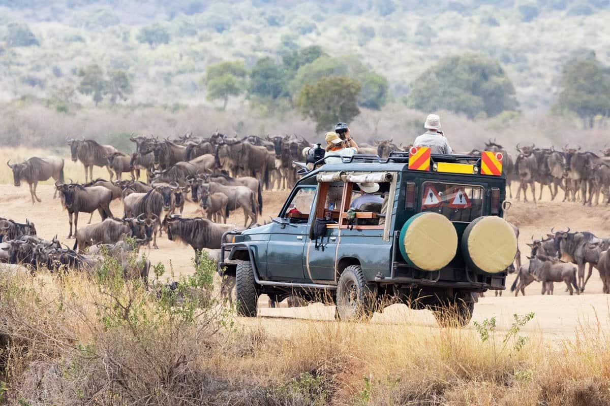 game drive vehicle within the wildebeest herd