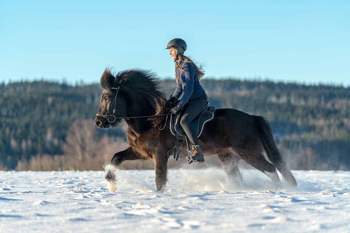 girl riding Icelandic horses across snowy field