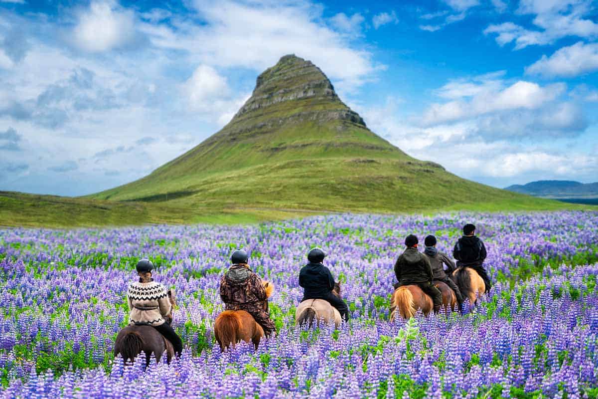 tour group riding Icelandic horses in Snaessesfell Peninsula