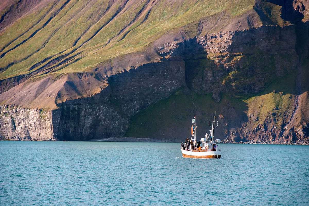 small whale watching boat with giant cliffs behind