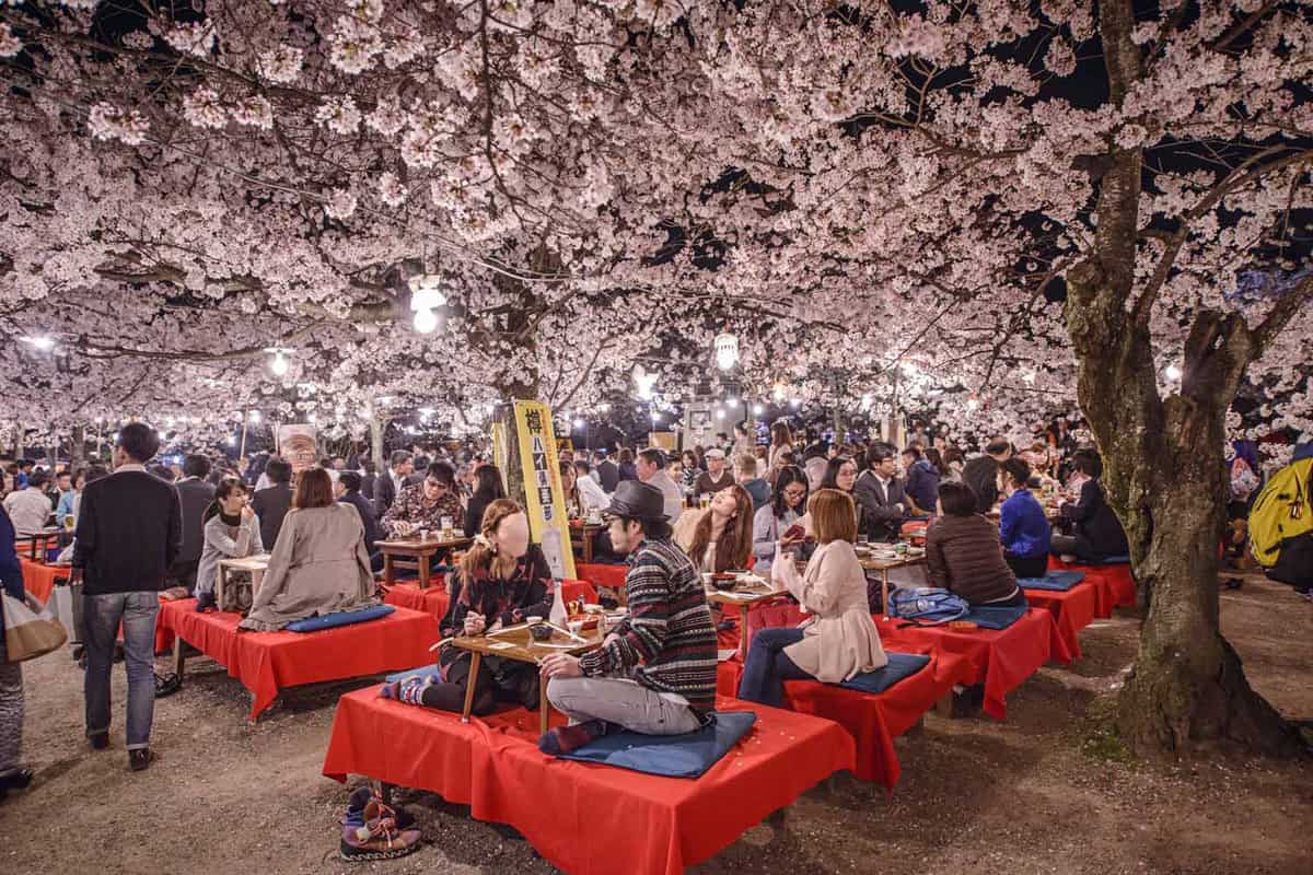 People socialising at tables under blossom trees