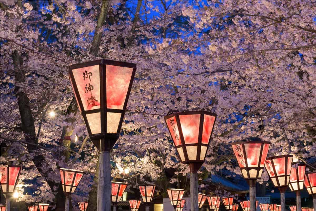 Lamps in the blossom