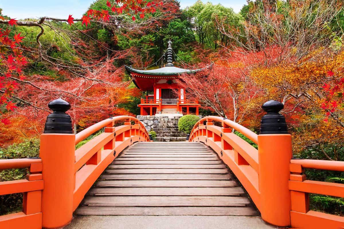 Fushimi shrine bridge leading to a lovely Japanese garden