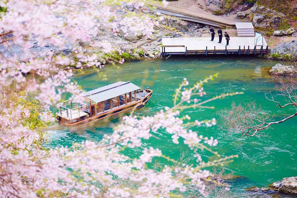 Boat sailing down river seen from blossoming tree