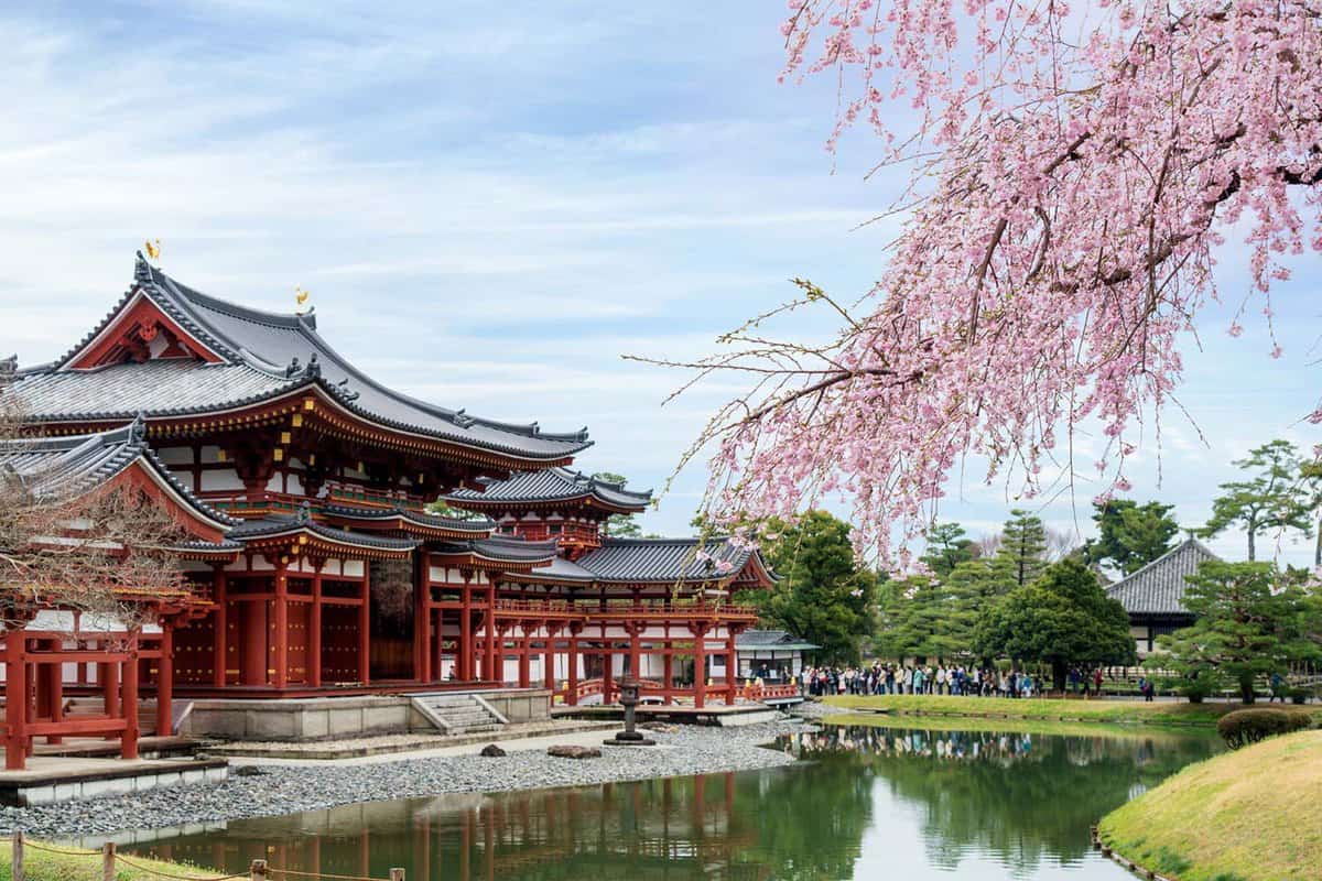 Temple and lake blossom
