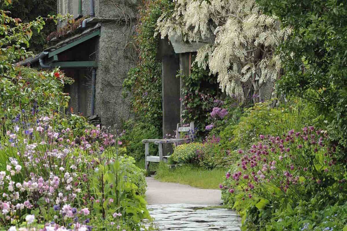 Hill Top's garden, a haphazard mix of flowers, herbs, fruit and vegetables.