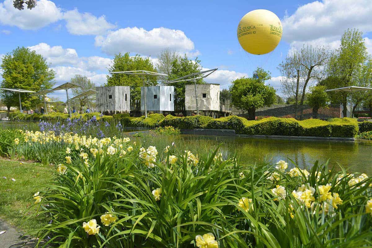 Field of yellow flowers with cabins beside a lake in the gardens