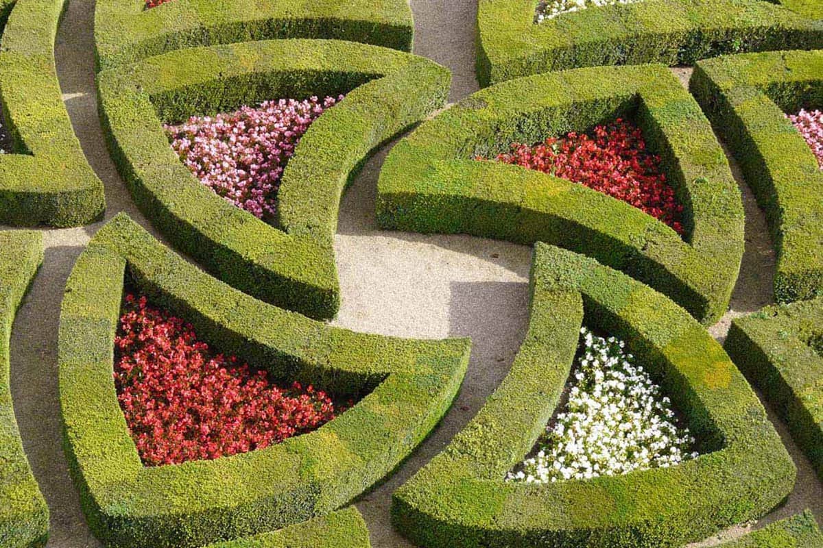 Overhead view of shaped hedged flowerbeds encapsulating flowers